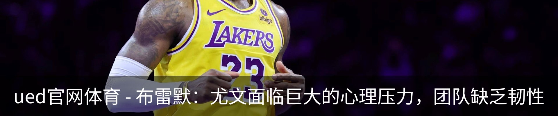 新闻动态